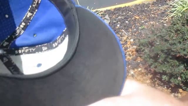 THE FITTED HAT FOOL EPISODE 8: THE TORONTO BLUE JAYS STEROID BIRD смотреть онлайн