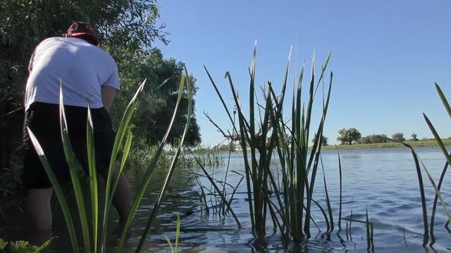 Рыбачка снова обловила Рыбалка в Астрахани на сазана смотреть онлайн