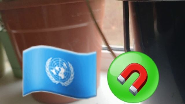 приключения по квотиро