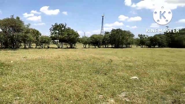 82 cent Acra Agri land sale Nelali gounden palayam east side sale, total budget 30 lac смотреть онлайн