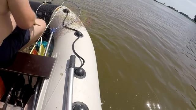 Ловля сомят на лягушку. Ну и куда без сазанчика смотреть онлайн