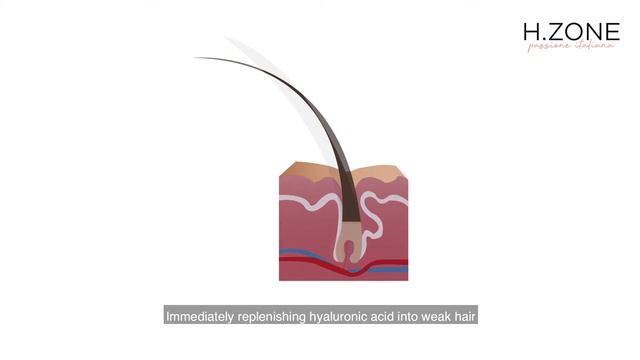 Hair Botox Treatment - H.Zone Lumiactive смотреть онлайн