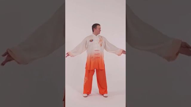 7 причина заняться Оздоровительным Цигун. Повышение гибкости и пластичности тела. #short #qigong смотреть онлайн