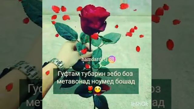 Ана клипи зур смотреть онлайн