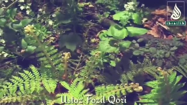 Fozil Qori-Namoz Haqida | Фозил Кори- Намоз хакида