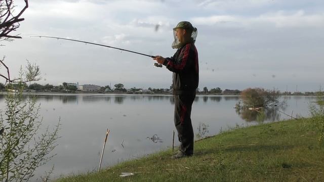РЫБАЛКА В АСТРАХАНИ В ИЮНЕ КАКАЯ ОНА Ловля сазана на Ахтубе Розыгрыш фидерного удилища смотреть онлайн