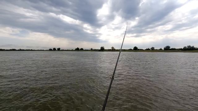 В дикие места дельты на рыбалку Сколько тут рыбы и рыбаков Рыбалка в Астрахани 2022 смотреть онлайн