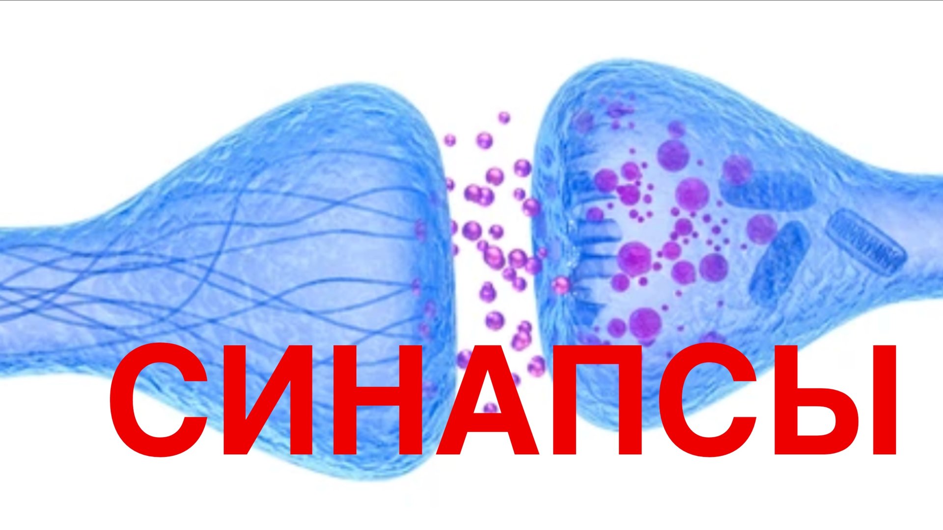 Документальный научно-обучающий фильм – Синапсы смотреть онлайн