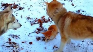 Я 
самый крутой