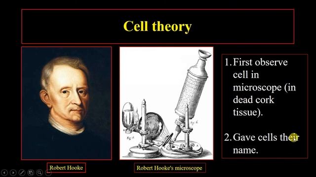 introduction to molecular biology смотреть онлайн