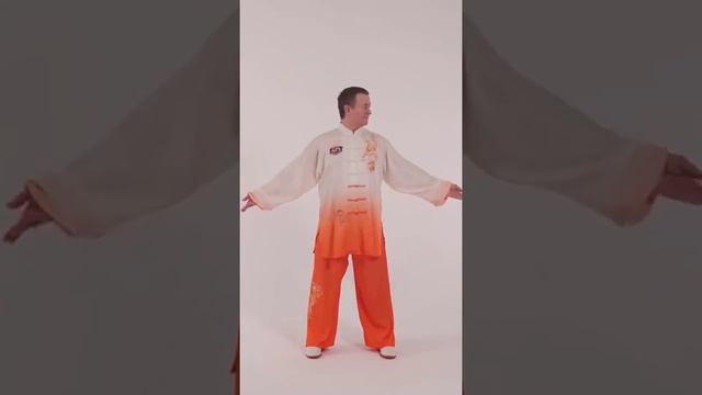 120 польза Оздоровительного Цигун #цигун #цигунонлайн смотреть онлайн
