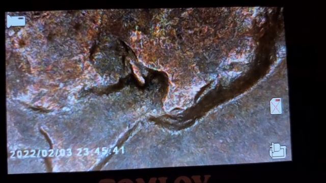 1936 P Wheat Cent Hunt - Doubled Dies Found! смотреть онлайн