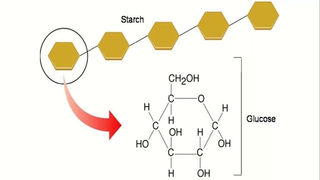 Carbohydrates - Biomolecules смотреть онлайн