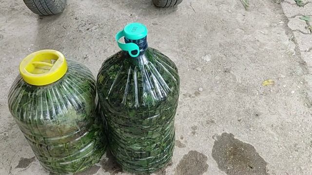 Bol Bol meyve için, her yerde var üstelik ücretsiz,organik gübre yapımı смотреть онлайн