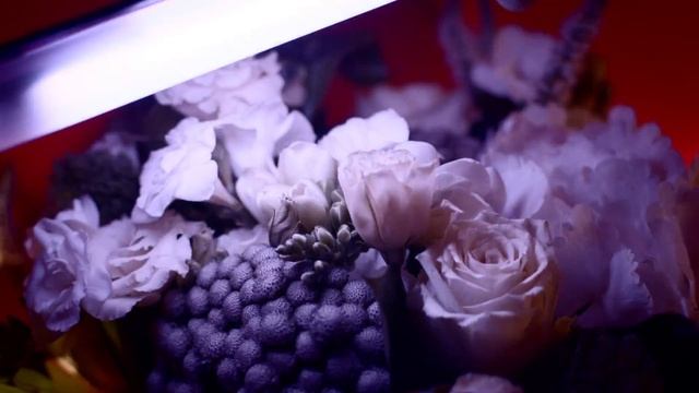 Валерия Крук - Экстракт счастья смотреть онлайн