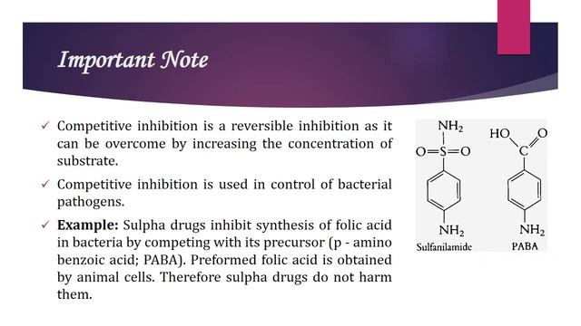 Enzymes |Classification | Activation Energy | Apoenzyme Co-factor Holoenzyme | Biology Class 11/NEE смотреть онлайн
