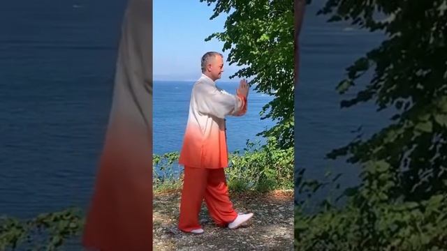 158 польза Оздоровительного Цигун #оздоровительныйсериал #цигунонлайн смотреть онлайн