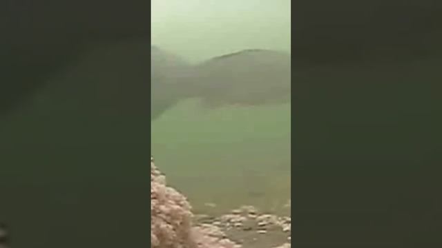 Подледный карась Астрахань #ловлясудака #рыбалкаастрахань #ловлящуки #рыбалка2024 #рыбалка2024 смотреть онлайн