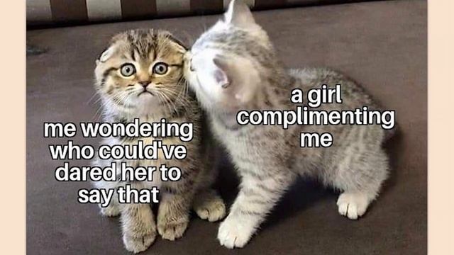memes i found in my puffer jacket смотреть онлайн