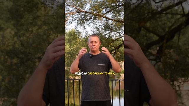 Как избавиться от стресса. Цигун поможет! #shorts #цигун смотреть онлайн