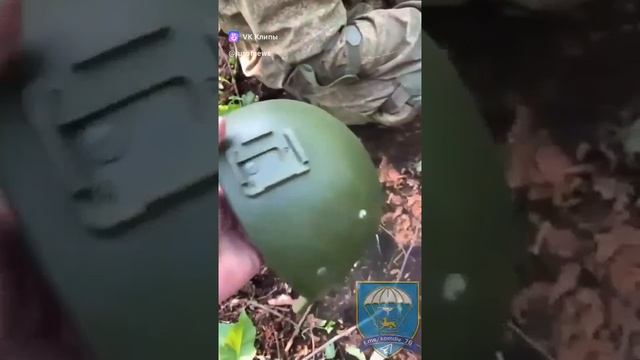 vkclips_20241114105037 смотреть онлайн