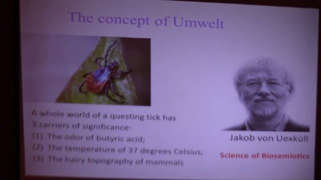 Entangled Life and Kabbalistic Biology, Michael Kosoy смотреть онлайн