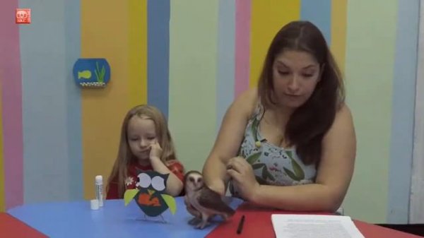 Детям о совах