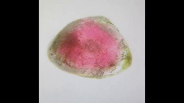 Wassermelonen- Turmalin смотреть онлайн