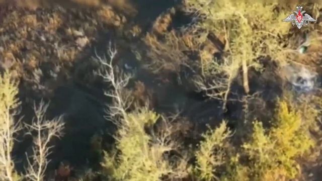 💥 На Курском направлении работают «птички» центра «Рубикон» смотреть онлайн