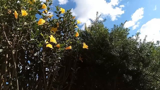 А.П.Чехов 🙂🙃🙂 Радость Аудиокнига смотреть онлайн