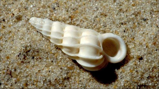 Карунеш. Внутренний храм смотреть онлайн