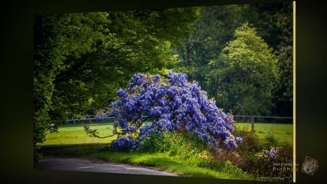 Urok 10 5 смотреть онлайн