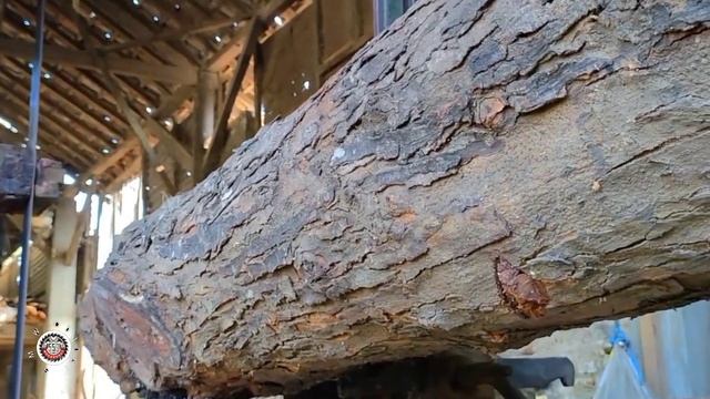 Rare Wood || Sawing the Most Expensive Wooden Twigs Full of Beauty || SAWMILL || chainsaw смотреть онлайн