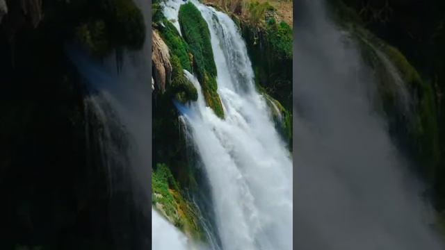 2532 1005644 mp3 смотреть онлайн