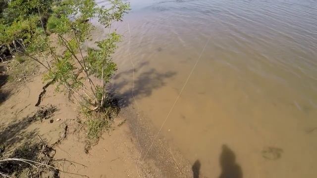 Рыбалка на сазана в Астраханской области.Разведка по новым местам. смотреть онлайн