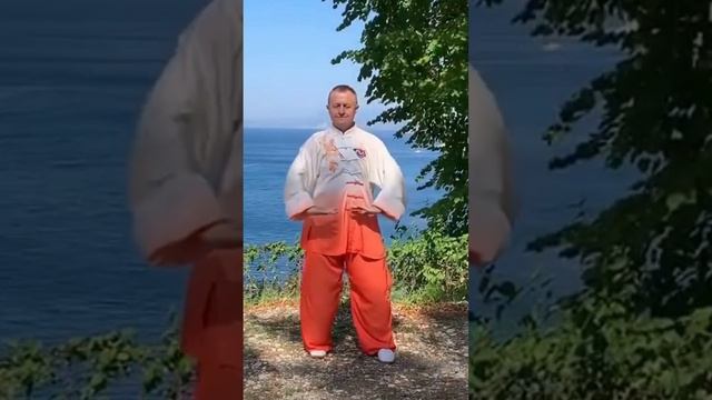 67 причина заняться Оздоровительным Цигун #цигун #цигунонлайн смотреть онлайн