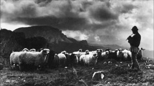 OMFO - Magic Mamaliga (Afgo & Mentol Remix)