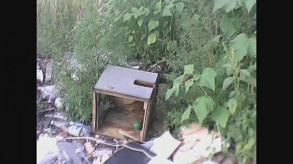 Летний сталк по свалкам