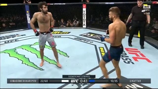 Бои UFC Fight Night Забит Магомедшарипов смотреть онлайн