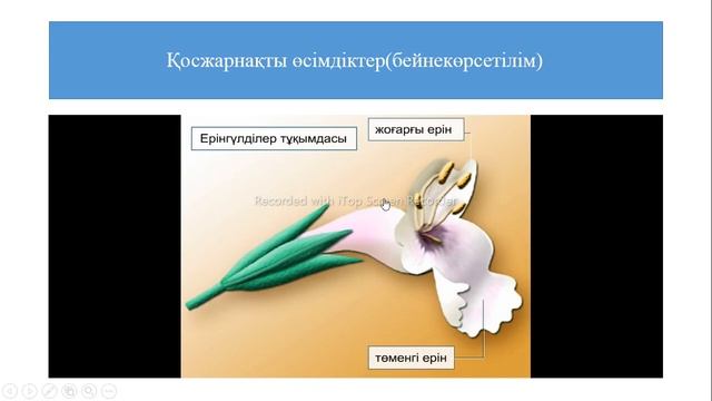 8- сынып Даражарнақты және Қосжарнақтылар классы. смотреть онлайн