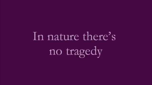 Crystal Castles - Kerosene Lyrics