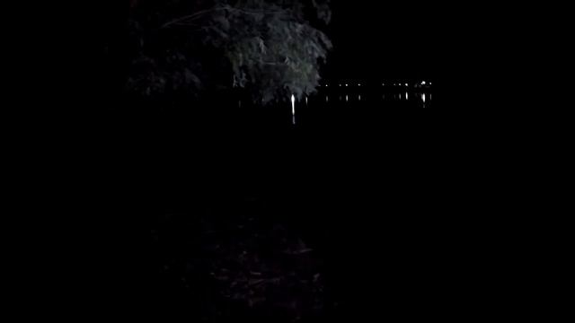 Рыбалка на Ахтубе. Ловля сазана, карася на жмых ночью. смотреть онлайн