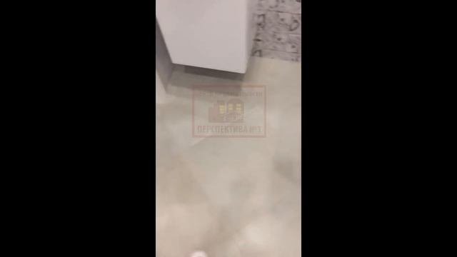 Сдается 1к квартира жк Олимпийский 11 25000 смотреть онлайн