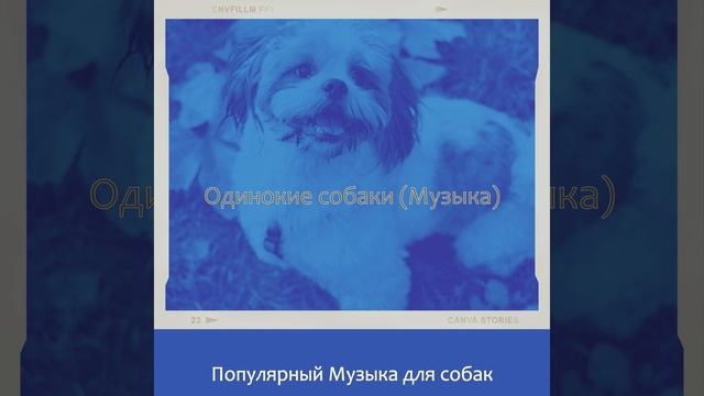 Настроения (Тихие щенки) смотреть онлайн