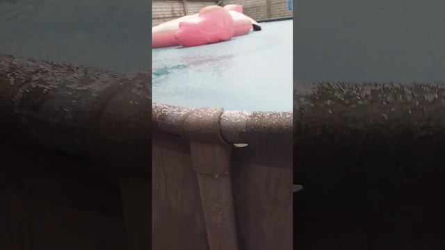 Решил не сливать воду в бассейне смотреть онлайн