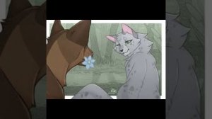топ 5 самых странных пар по котам воителям/сори что не договорила (от лап собственного наставника)