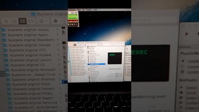 My favourite SE Z200 ringtones on MidRadio смотреть онлайн