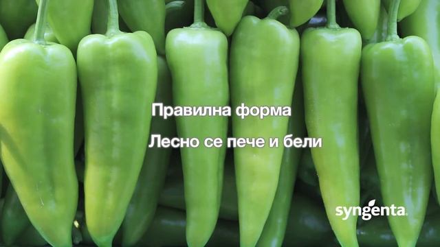 Конвента F1: Най-бързата капия в България, от Синджента смотреть онлайн