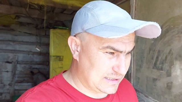 Курочка в изоляции!!!! смотреть онлайн