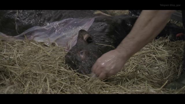 s02e05 смотреть онлайн